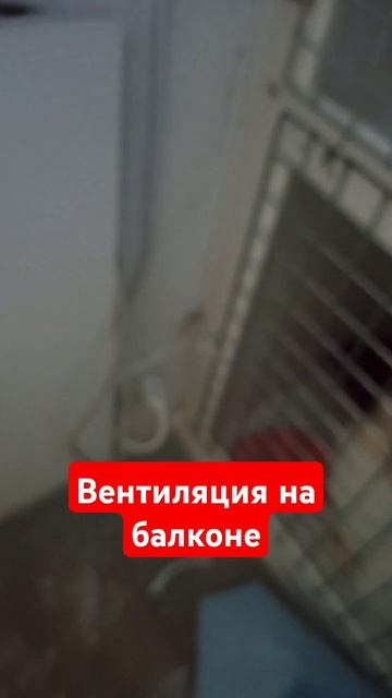 монтаж вентиляции в вет клинике срочный заказ вытяжка смотреть онлайн