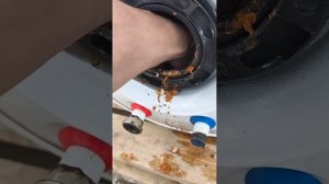 #edisson er50 #заменатэны #водонагреватель