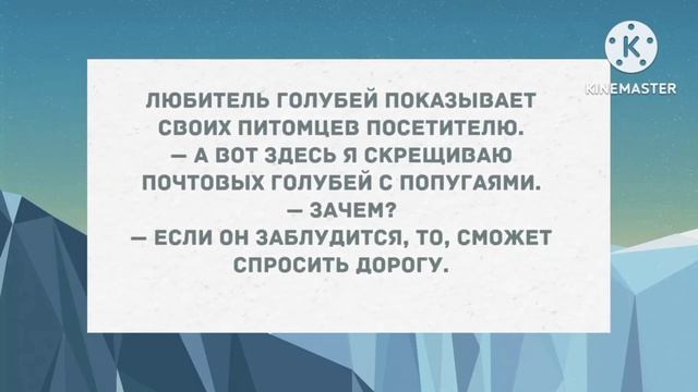 Когда мы с мужем занимаемся любовью, у меня коленки и локти болят. Анекдоты. смотреть онлайн