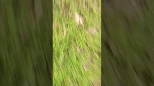 Тостер что неоегальный меня сбит не забил 😂😨 смотреть онлайн