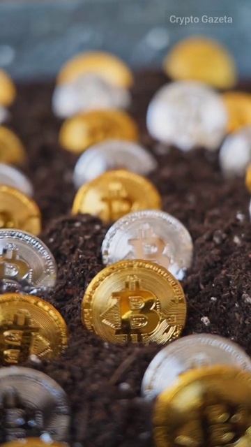 Тим Дрейпер, известный инвестор, который поддержал та? смотреть онлайн