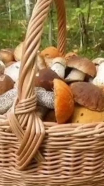 #shorts#весна#история #культура #приметы #погода #русский смотреть онлайн