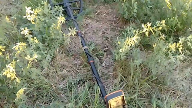 Quest X10 IDMAXX стоит ли его брать?