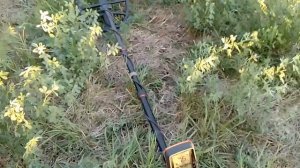 Quest X10 IDMAXX стоит ли его брать?