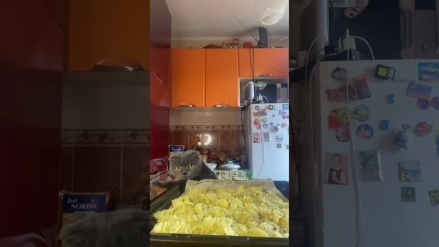 ТАК Картошку в МУНДИРЕ Вы еще не готовили! Картофель в смотреть онлайн