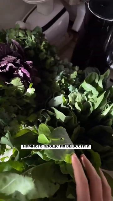 Что должно быть в холодильнике #ппизож #пппитание #здо? смотреть онлайн