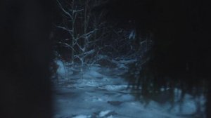 Фильм «Лес»