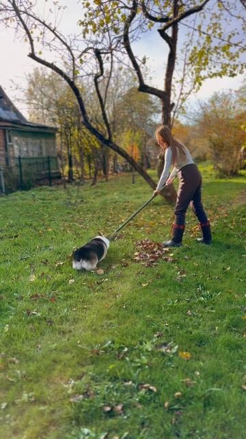 Клюква не из робкого десятка, бесстрашно атаковала гр? смотреть онлайн