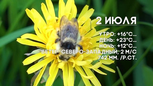 Погода на 1,2,3 июля смотреть онлайн