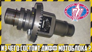 Как устроен дифференциал мотоблока "Мотор Сич"?