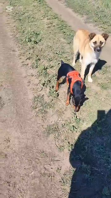 Раз, два, три, четыре, продолжаем... смотреть онлайн