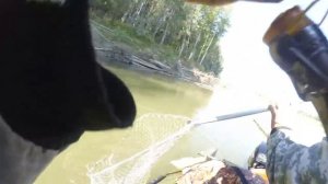 В ЭТИХ КАРЕНАХ ЖИВУТ ОГРОМНЫЕ КУНЕМО! Трофейная рыбалка в сентябре