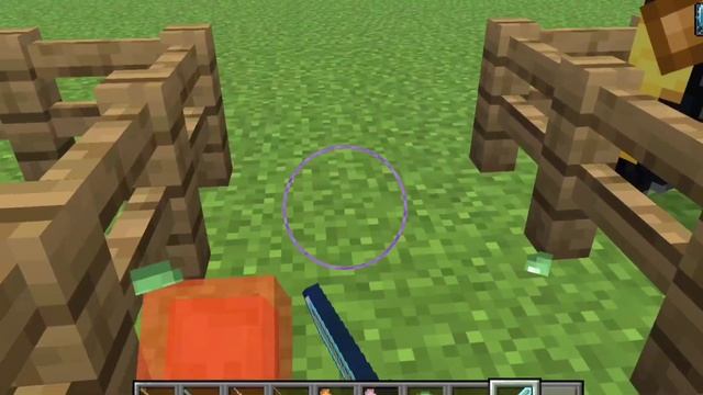 обзор мода Villager Soldier для minecraft bedrock 1.20