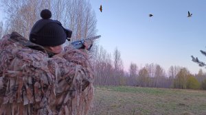 43 ВАЛЬДШНЕПА ЗА ВЕЧЕР! ВЕСЕННЯЯ ОХОТА В ТАЙГЕ. ПОХОД ДО ИЗБЫ.