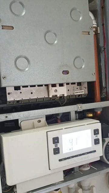 Красавчик Royal thermo смотреть онлайн