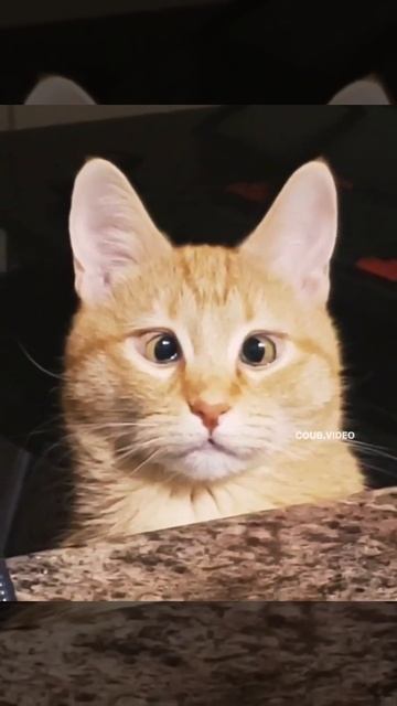 Косоглазый ))) смотреть онлайн