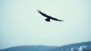 Какая грусть! Конец аллеи...