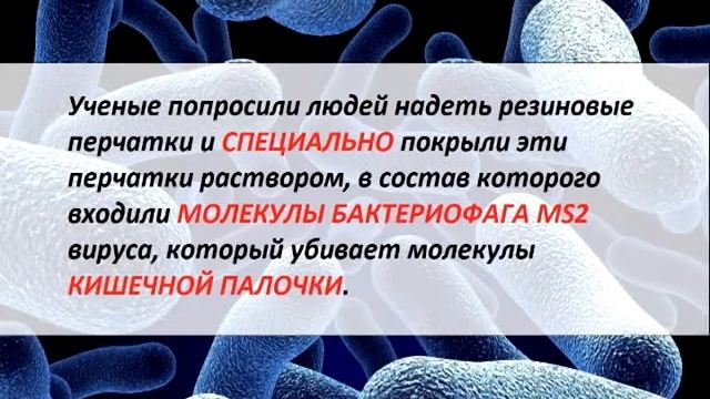 Все обо всем - Какие сушилки для рук самые гигиеничные? смотреть онлайн
