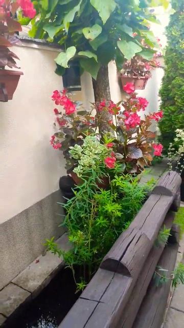 Вода - це енергії багатства та процвітання у Феншуй! #а? смотреть онлайн