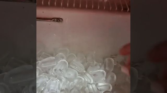 Льдогенератор EUROFRIGOR EC 20 A смотреть онлайн