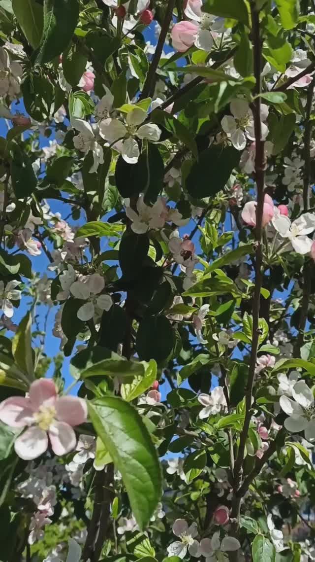 Великолепие природы! смотреть онлайн