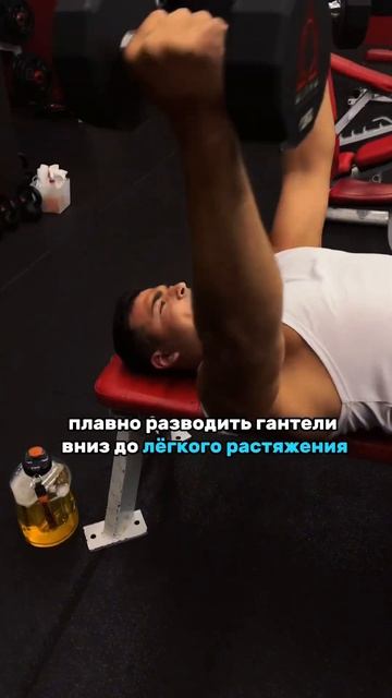 РАЗВЕДЕНИЕ ГАНТЕЛЕЙ НА ГОРИЗОНТАЛЬНОЙ СКАМЬЕ смотреть онлайн