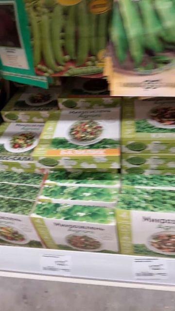 Семена 2024 Leroy Merlin — 10 февраля 2024 #екатеринбург #россия # смотреть онлайн