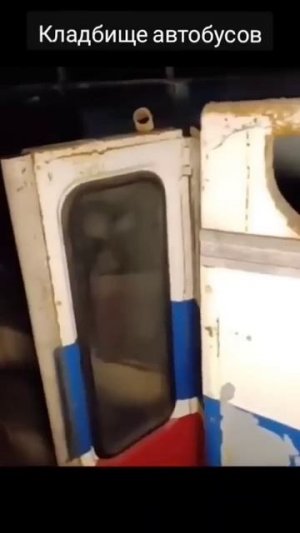 Кладбище автобусов СССР., заброшенный автобусный парк