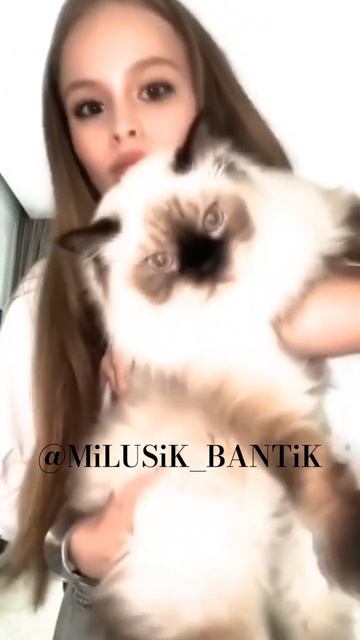 🎀 а у вас есть домашние животные? 😊 #milanastar #миланаста? смотреть онлайн