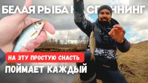 НА ЭТУ СНАСТЬ ПОЙМАЕТ КАЖДЫЙ. Белая рыба на спиннинг.