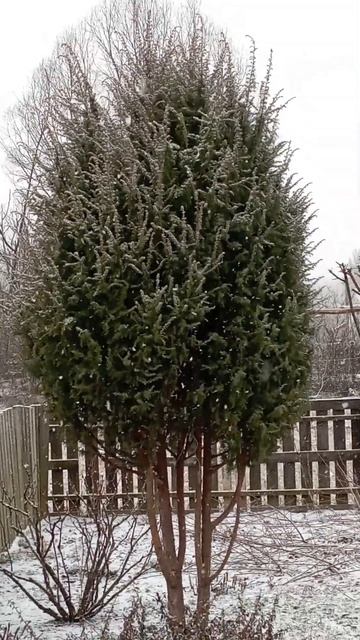 зимняя сказка в селе))) волшебный снег идёт, ))) быть доб? смотреть онлайн