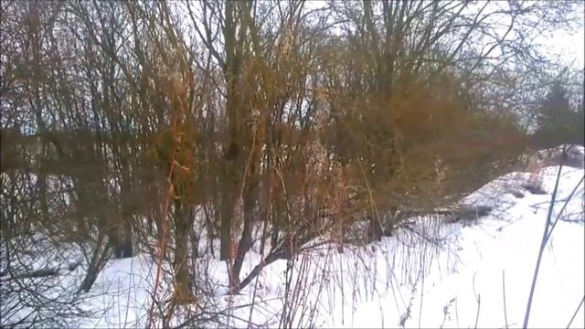 Невидимки в пейзаже смотреть онлайн