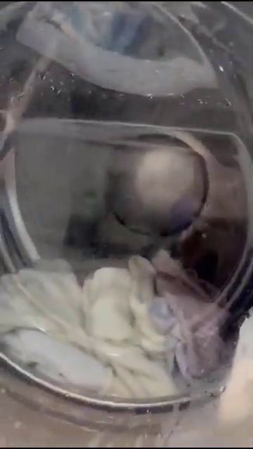 22 апреля 2025 г. смотреть онлайн