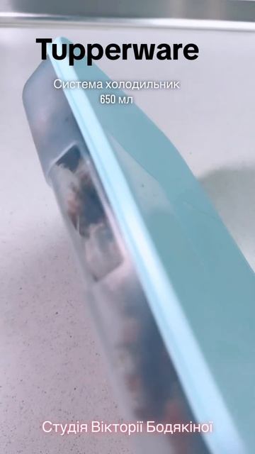 Система холодильник 650 мл от Tupperware ❤️Компактное хран? смотреть онлайн