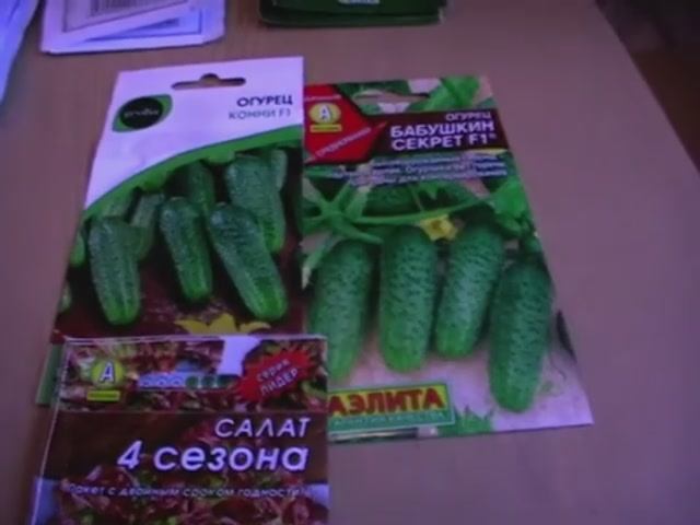 Обзор семян огурцов //салатов// зелени. смотреть онлайн