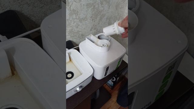 Искусство профессионалов