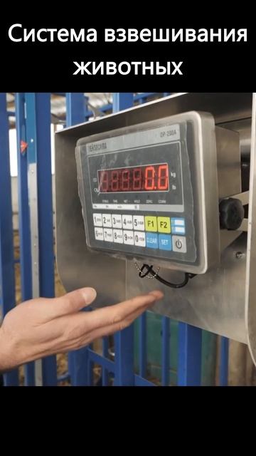 Система взвешивания животных — Тензотест. Весовой за? смотреть онлайн