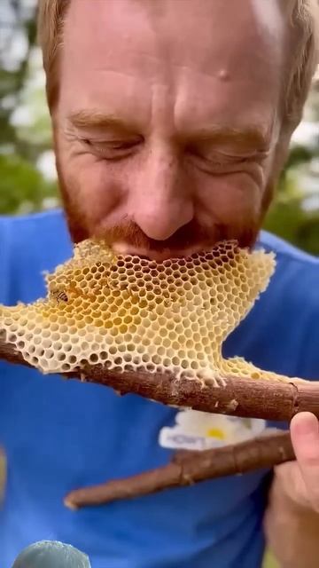 3 февраля 2025 г. смотреть онлайн