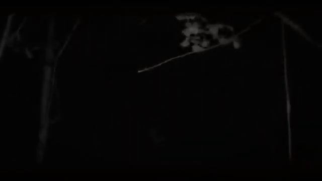 Не засыпай || все части || worldbegemotkot || ворлд кот бегемот смотреть онлайн