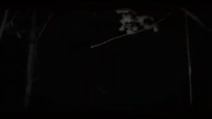 Не засыпай || все части || worldbegemotkot || ворлд кот бегемот