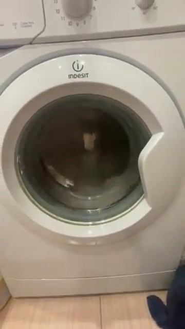 разбитая крестовина барабана смотреть онлайн