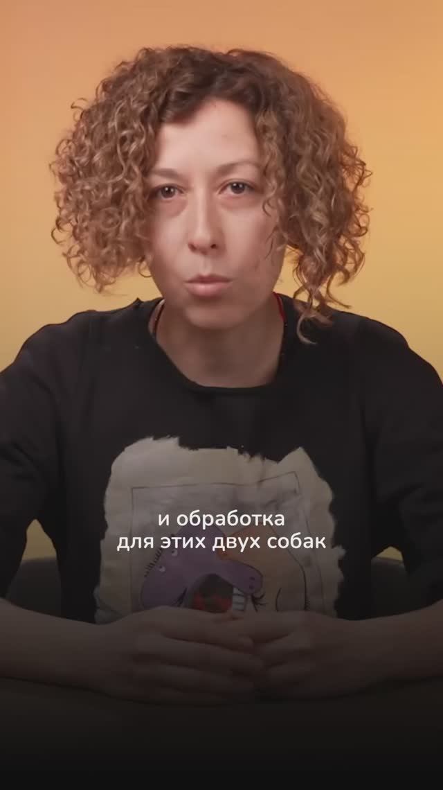 Клещи — угроза для собак и кошек в любое время года смотреть онлайн