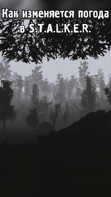 🔆Как изменяется погода в S.T.A.L.K.E.R. смотреть онлайн
