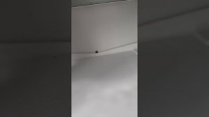 Холодильник начал свистеть после закрытия дверцы? Ест