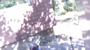 Ремонт Холодильника  SHARP Nofrost   Работает Перестает холо