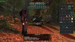 Маг Крови - Проклятый : ОБЗОР ГИЛЬДИИ и КЛАССА | Готика 2 Новый Баланс / New Balance