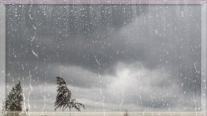 Зарисовки  Слезы осени