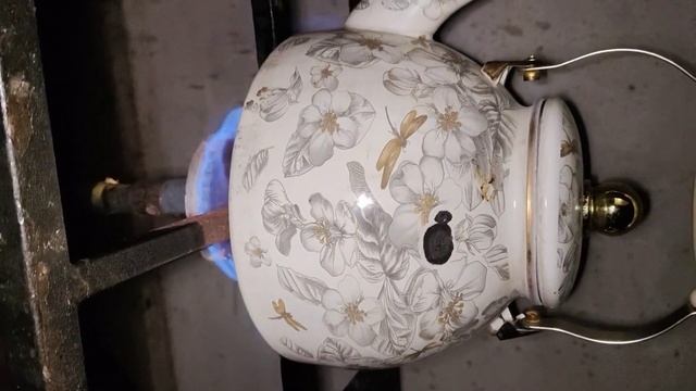 Как правильно вскипятить воду для чая )) смотреть онлайн