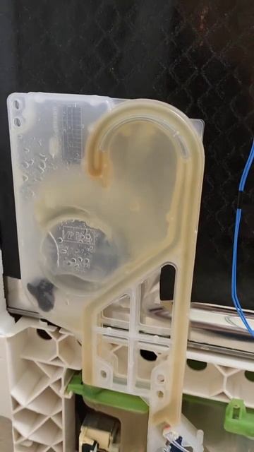 Посудомоечная машинка электролюкс. Течет вода из этог смотреть онлайн