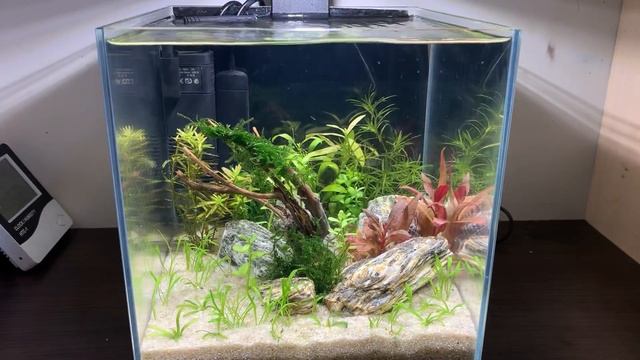 САМЫЙ МАЛЕНЬКИЙ НАГРЕВАТЕЛЬ ДЛЯ НАНО АКВАРИУМОВ Collar a смотреть онлайн